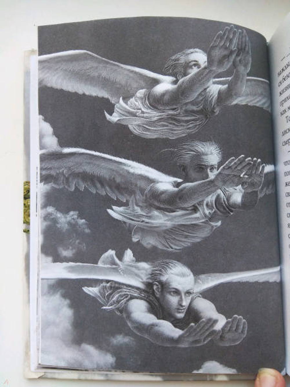 Чайка Джонатан Ливингстон