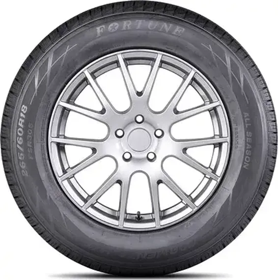 Fortune FSR-305 285/50 R20 119/116S