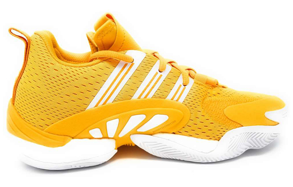 Кроссовки Adidas Crazy Byw 2.0