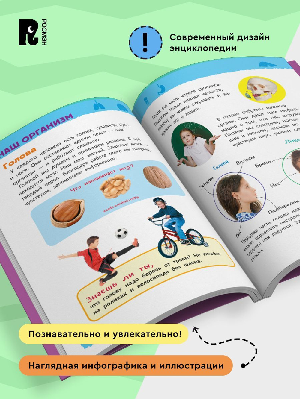 Тело человека (Энциклопедия для детского сада)