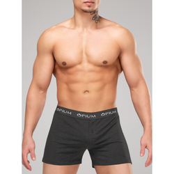 Мужские трусы боксеры с пуговицами темно-серые Opium Boxer R-31