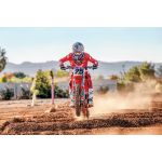 Pulse Hazard / Красный