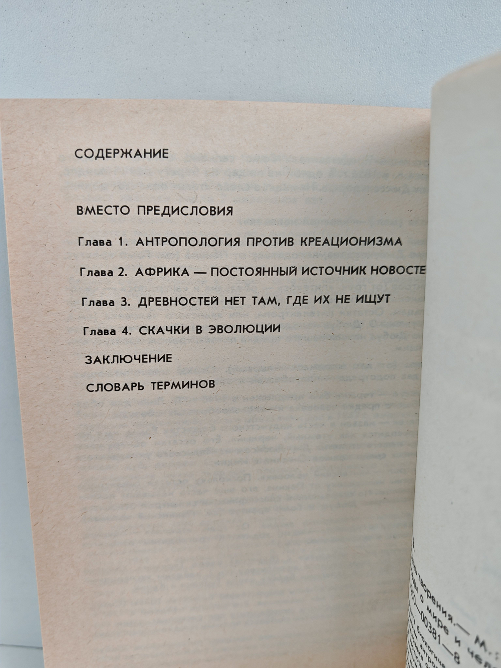 Шестой день творения