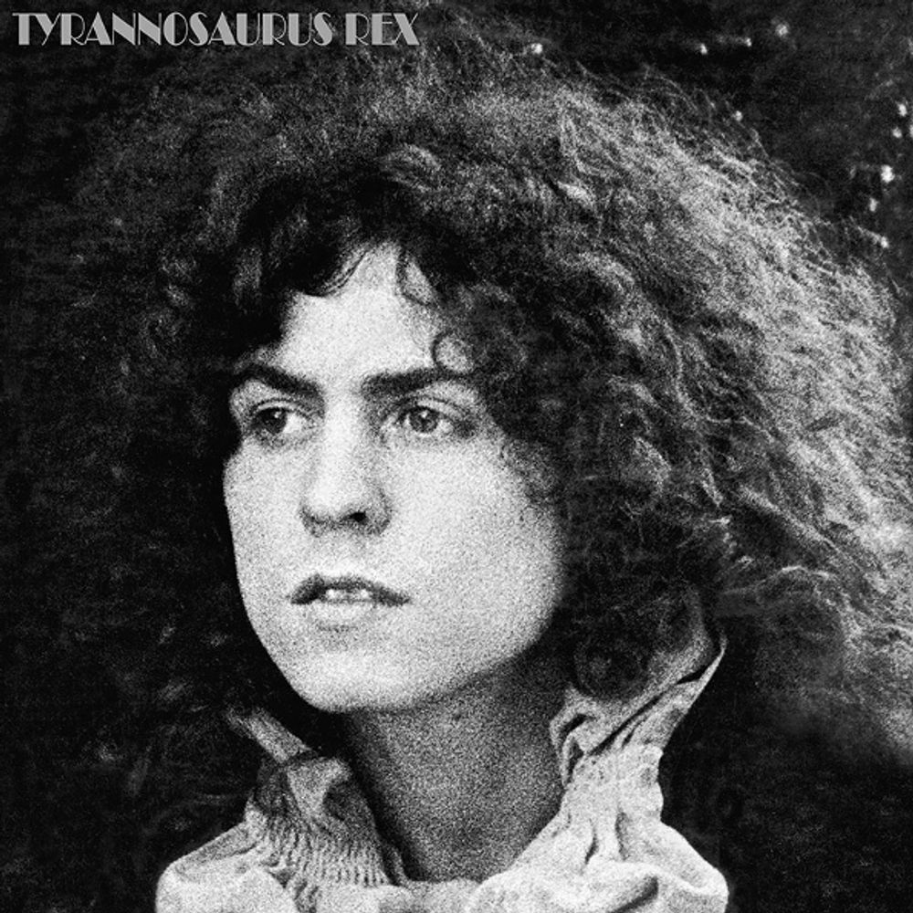 Tyrannosaurus Rex / A Beard Of Stars (2LP)