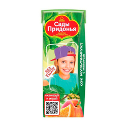 Сок Сады Придонья Мультифрукт 0,2л