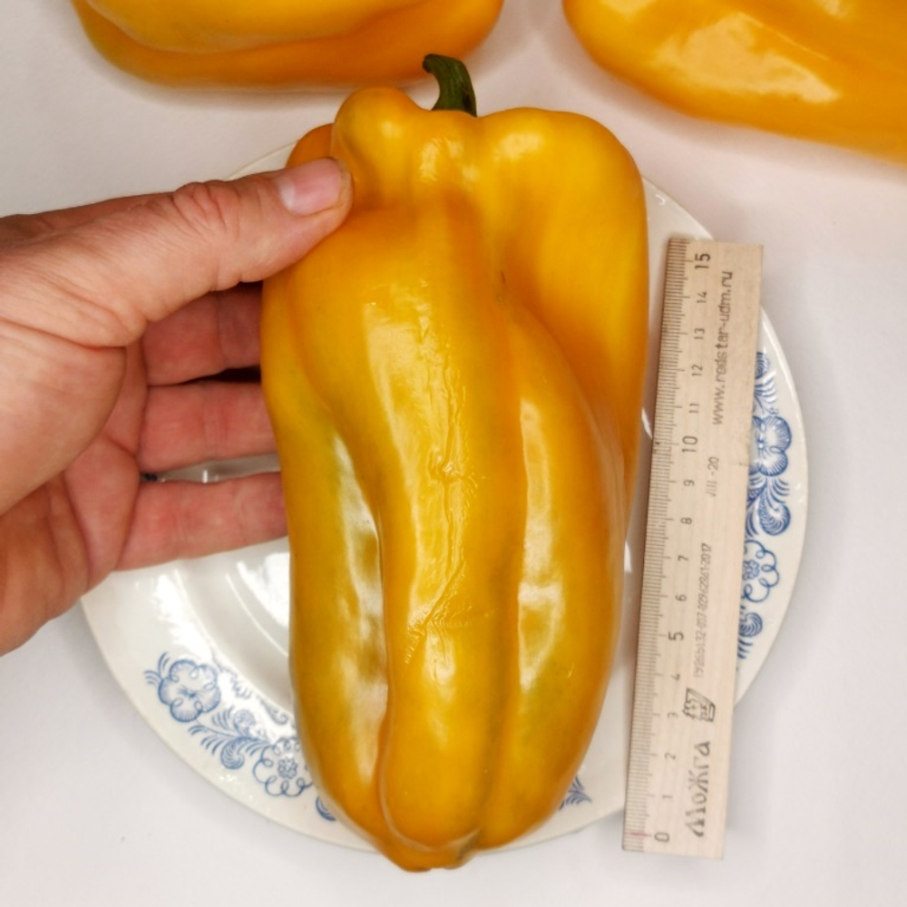 Гигантский Сладкий Перец Жёлтый Монстр — Yellow Monster Pepper