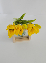 Тюльпаны бахромчатые / Арт 2544