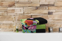 Полотенце 37x50 Feiler Rainforest 10 schwarz