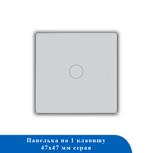 Стеклянная панель для рамки 1KL-GY 47*47мм СЕРЫЙ