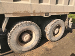 Shacman (Shaanxi) SX* 8x4 Самосвал SX331863366 (Дизельный, 12,5 л, 544 л.с., МТ)