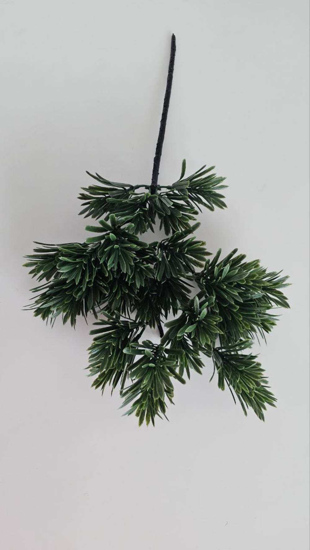 Бонсай подокарпус / Арт 5033