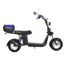 Электроскутер Skyboard BR30-2WD (Ural)