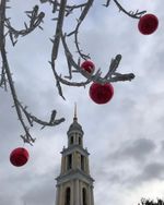 Светодиодное Дерево