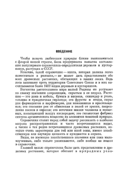 Деревья и кустарники СССР | Н.А. Бородина