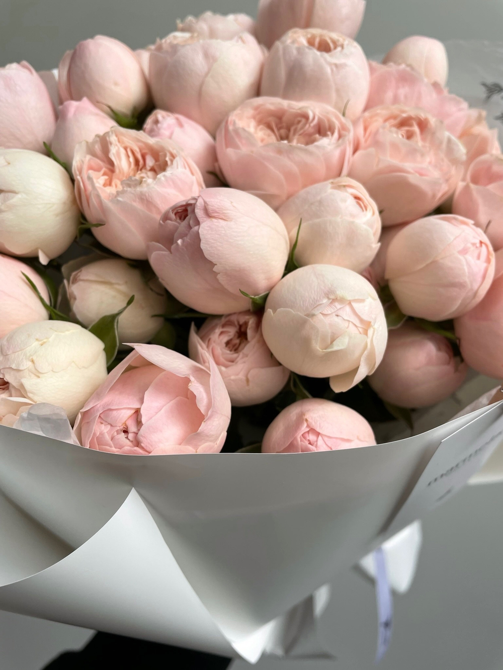 Нежно- розовая кустовая пионовидная роза в оформлении
