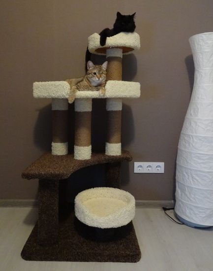 Когтеточка К-78