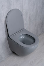 Унитаз подвесной Tornado Gid Tr2122TF-Lgm 62259Y серый матовый 49x36x36