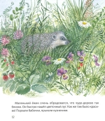 Самый маленький ежик