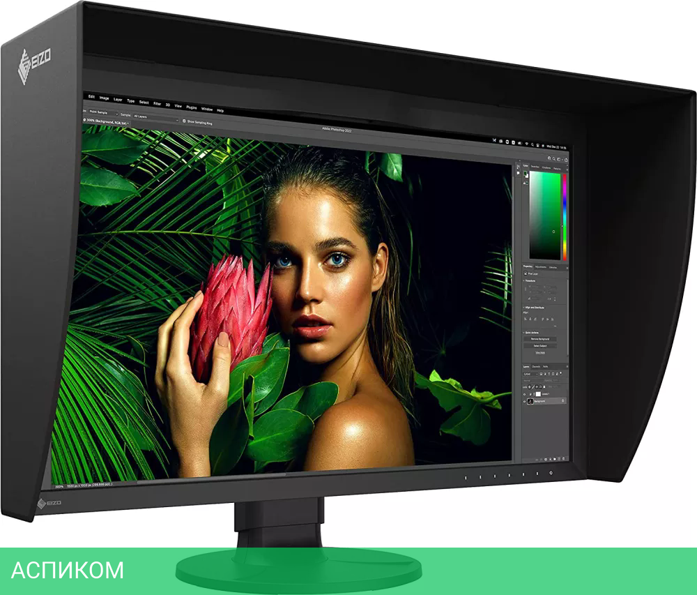 Монитор EIZO ColorEdge CG2700S