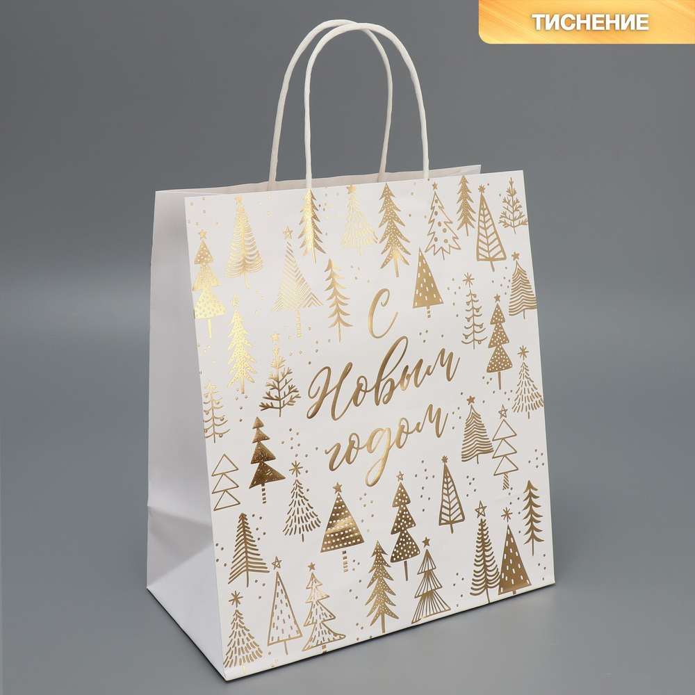 Пакет подарочный крафтовый «Новогодняя пора», 22 х 25 х 12 см