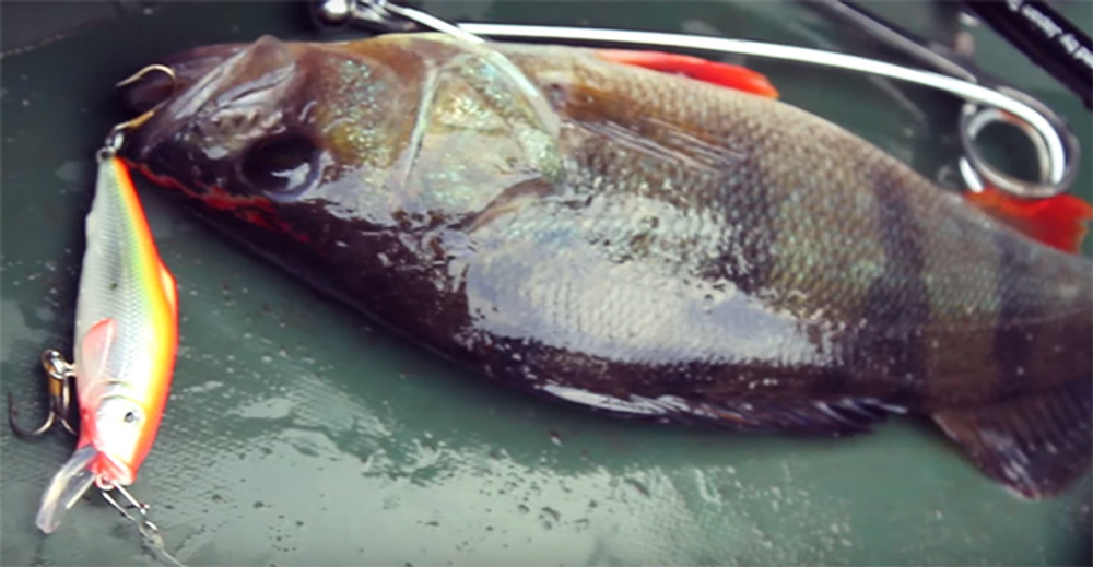 Воблер для рыбалки BURNASH-2 100mm,