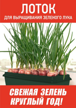 Лоток для выращивания зелёного лука (тёмно-зелёный)