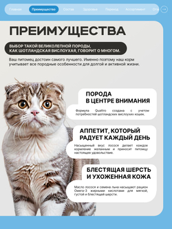Корм сухой для взрослых кошек породы Шотландская вислоухая, с лососем, 2 кг, QUATTRO