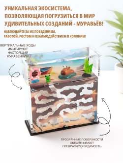 Муравьиная ферма с муравьями в подарок "Капибара на пляже"