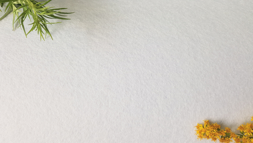 Фетр средней жесткости 2 мм, ширина 1 м, 215,4 гр/м2, белый