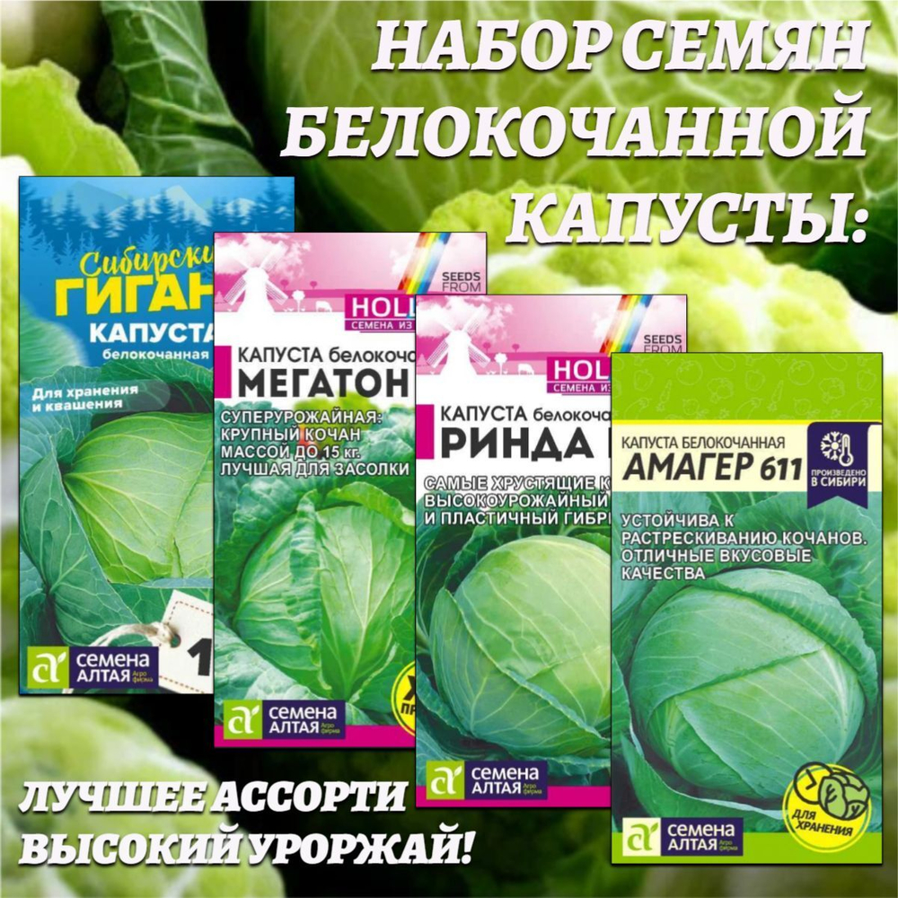 Набор семян белокочанной капусты