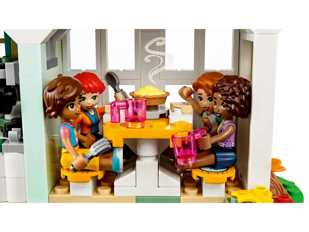 Конструктор LEGO Friends 41730 Дом Отэм