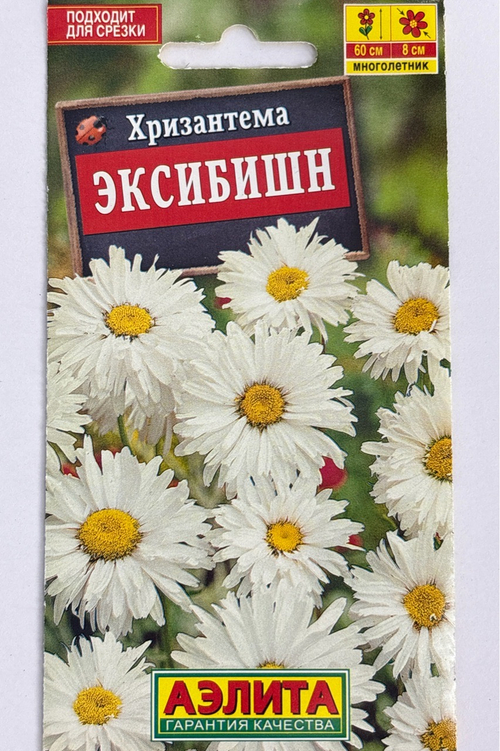 Хризантема Эксибишн СМЦ-337