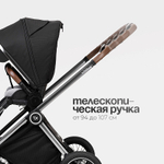 Детская коляска 2 в 1 Tomix Adele S760/2 Black