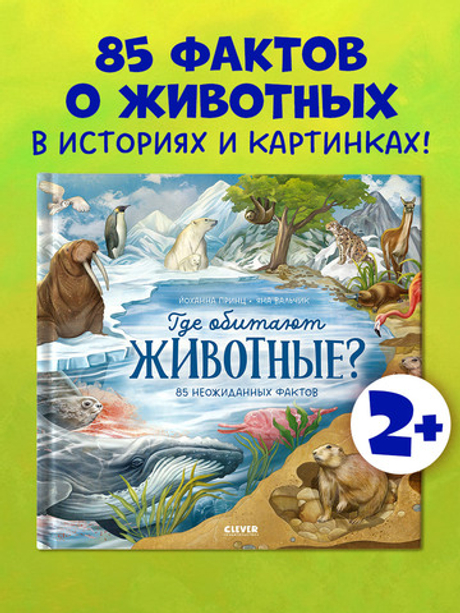 Удивительные животные. Где обитают животные?