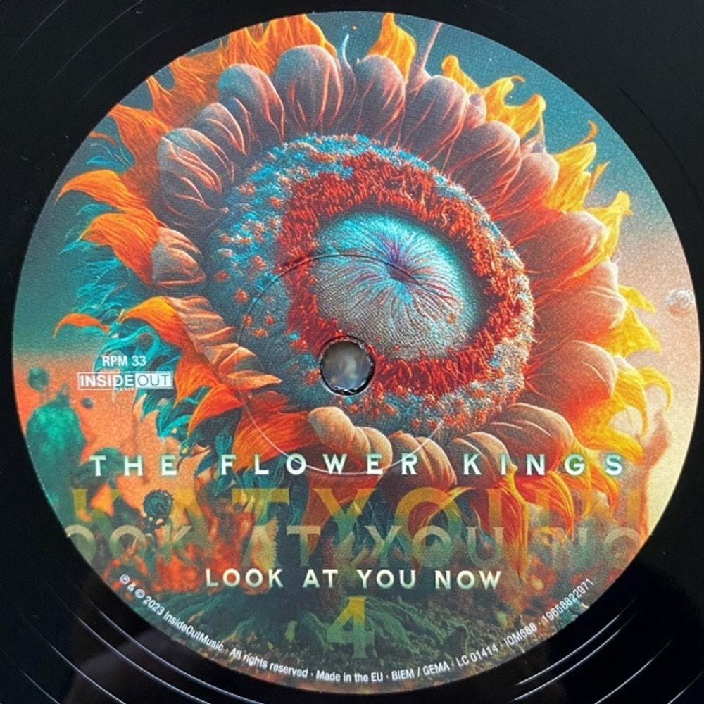 The Flower Kings / Look At You Now (2LP)