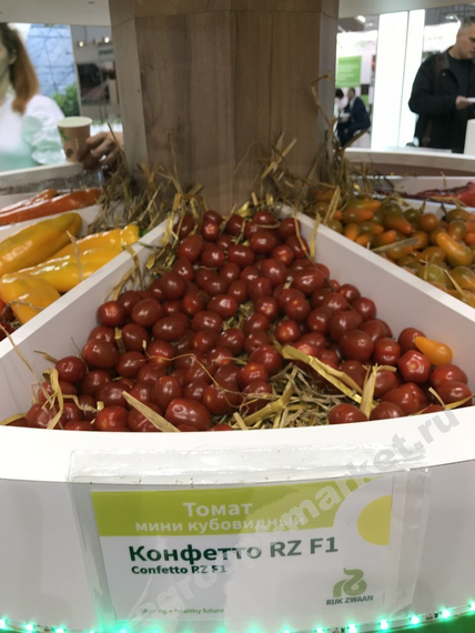 КОНФЕТТО F1 семена томата (Rijk Zwaan | Alexagro) – фото 3