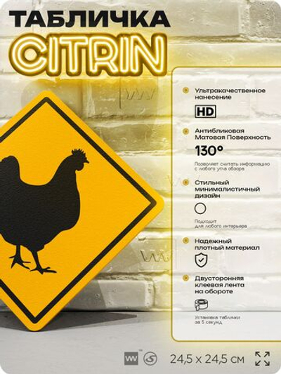 Табличка прикольная "Осторожно, курицы" на дверь и стену, информационная и предупреждающая, декоративный знак, 24,5х24,5 см, пластиковая, Айдентика Технолоджи