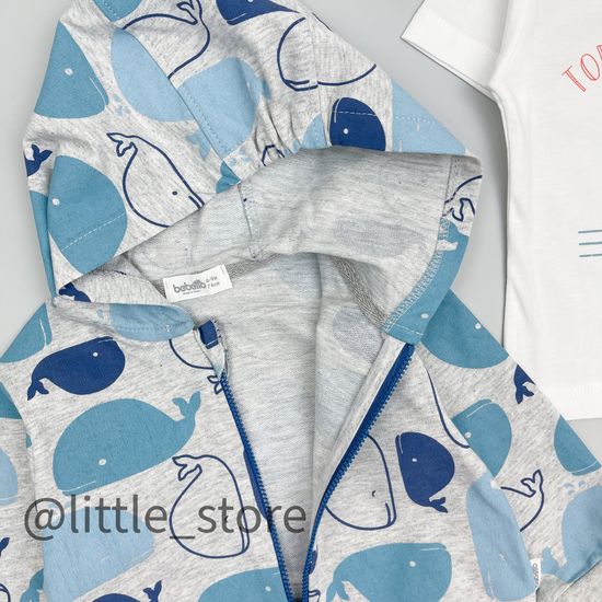 Комплект из футера "Captain whale" с футболкой