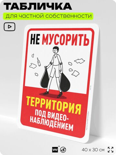 Табличка для частной территории "Не мусорить, территория под видеонаблюдением", на дом, для участка, организаций, предупреждающая, 40х30 см, Silver Plane x Айдентика Технолоджи