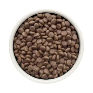 Сухой диетический корм Grandorf Veterinary Diet Dog Hepatic для собак, для поддержания функций печени при ХПН