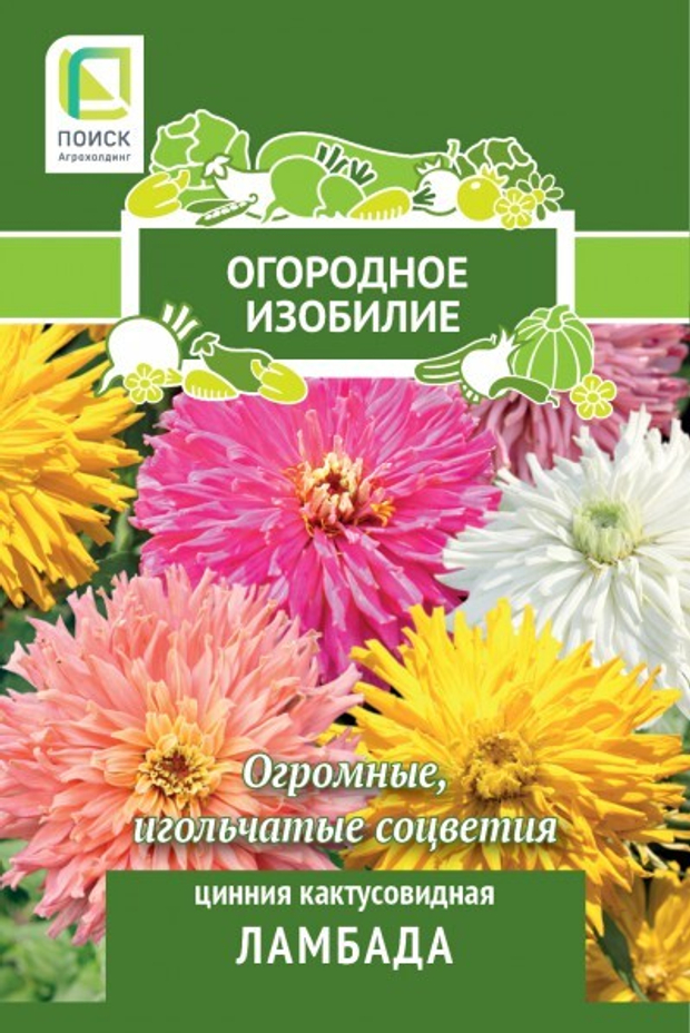 Цинния кактусовидная Ламбада