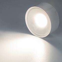 Citilux ROVER CL743150N LED Накладной светильник Белый