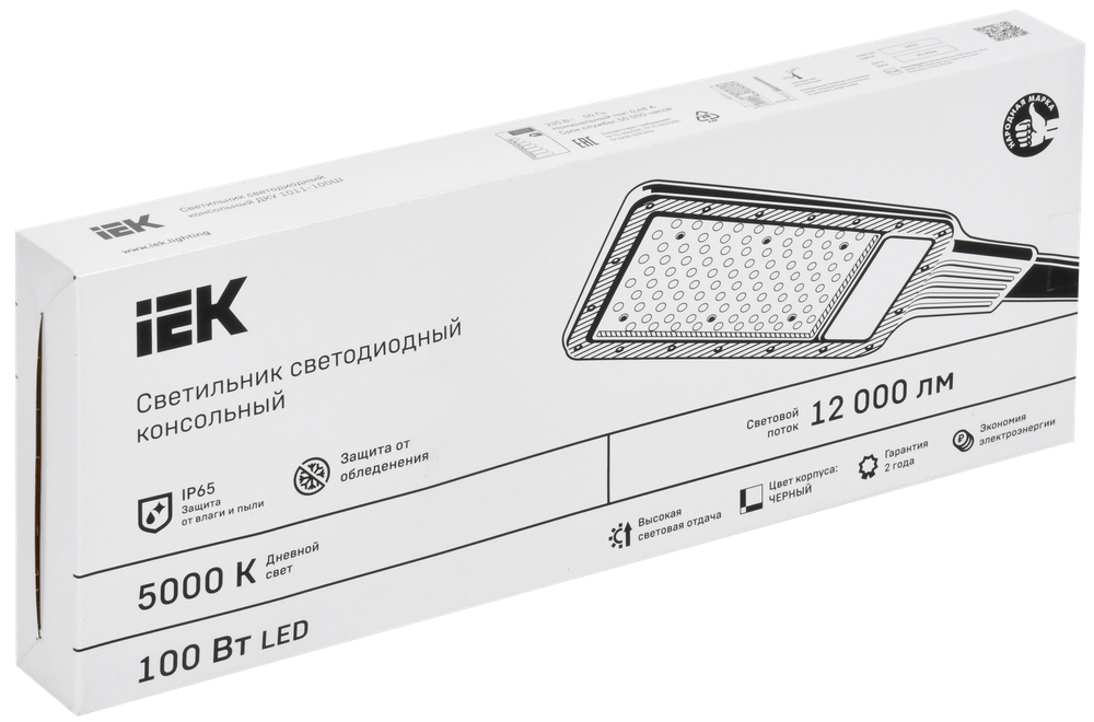 Светильник LED консольный ДКУ 1011-100Ш 5000К IP65 IEK