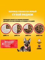 Сухой корм для собак крупных пород. Говядина