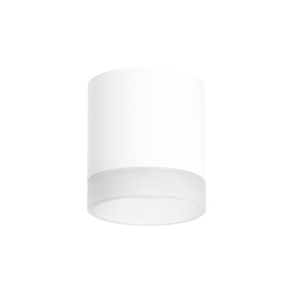 Комплект с потолочным светильником Lightstar Rullo (213486+202480) R348680