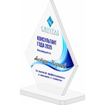 Акриловый приз Консультант года 3523-180