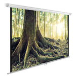 Экран  Cactus CS-PSWE-220X220-WT