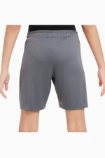 Шорты Nike Dri-FIT Strike 24 - серый