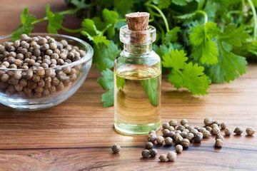 Эфирное масло Кориандр. 10 мл.