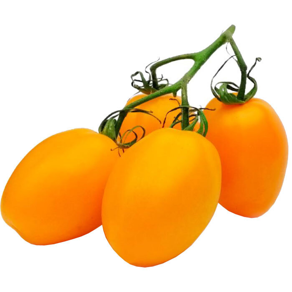 226867